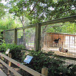 Houston Zoo 2010 - Front of one of the Okapi exhibits