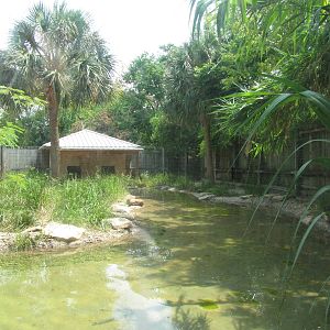 Houston Zoo 2010 - Right side of the fine Brazilian Tapir exhibit