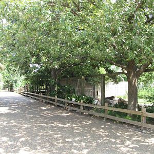 Houston Zoo 2010 - Front side of ungulate exhibits