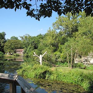 Cameron Park Zoo 2010 - Lemur islands