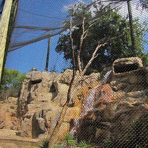 Cameron Park Zoo 2010 - Ceiling of the mixed South American exhibit