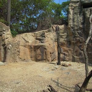 Cameron Park Zoo 2010 - Ground of the mixed South American exhibit