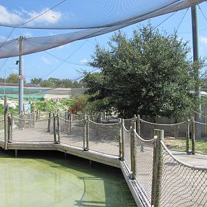 Cameron Park Zoo 2010 - Wetland exhibit in Brazos River Country