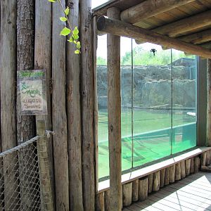 Cameron Park Zoo 2010 - One side of the Alligator exhibit in Brazos River C
