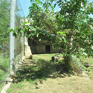 Cameron Park Zoo 2010 - Left part of the Cougar exhibit in Brazos River Cou