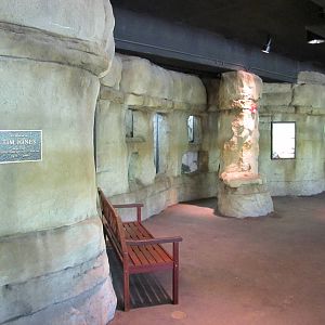 Cameron Park Zoo 2010 - General view inside the Freshwater Aquarium in Braz