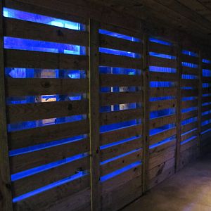 Cameron Park Zoo 2010 - Inside the Nocturnal House in Brazos River Country