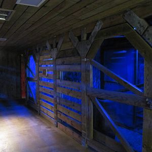 Cameron Park Zoo 2010 - Inside the Nocturnal House in Brazos River Country