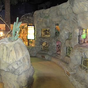 Cameron Park Zoo 2010 - General view inside the Reptile House
