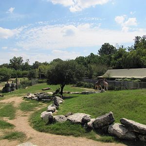 Cameron Park Zoo 2010 - General view in the African Savanna
