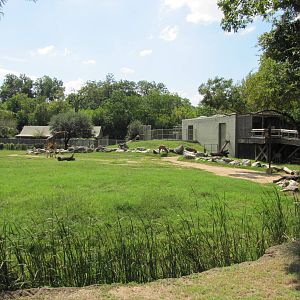 Cameron Park Zoo 2010 - Different part of the African Savanna
