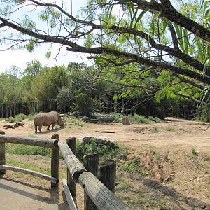 Cameron Park Zoo 2010 - Front of the African Rhinoceros exhibit in the Afri
