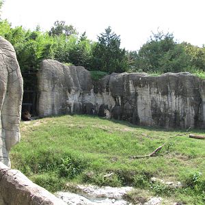Cameron Park Zoo 2010 - Left part of the African Lion exhibit