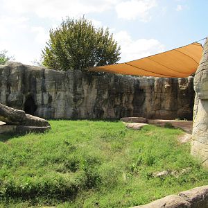 Cameron Park Zoo 2010 - Right part of the African Lion exhibit