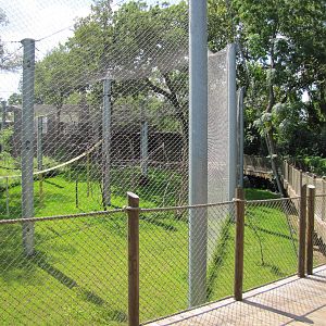 Cameron Park Zoo 2010 - Front of the Orangutan exhibit in Asian Forest