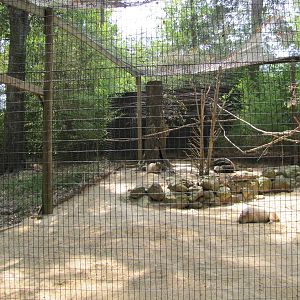 Caldwell Zoo 2010 - Inside the mixed South America exhibit