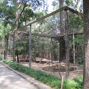Caldwell Zoo 2010 - Scarlet Ibis aviary in the South America section