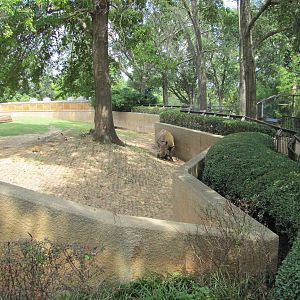 Caldwell Zoo 2010 - Part of the first Black Rhinoceros exhibit in the Afric