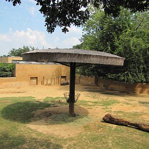 Caldwell Zoo 2010 - Center of the second Black Rhinoceros exhibit