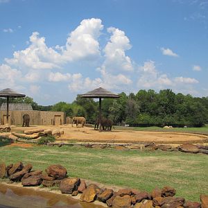 Caldwell Zoo 2010 - African Elephant exhibit