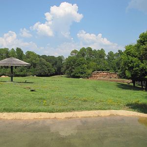 Caldwell Zoo 2010 - Part of the brilliant African Savanna