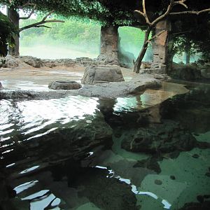 Caldwell Zoo 2010 - The larger Jackass Penguin exhibit
