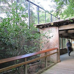 Caldwell Zoo 2010 - Front of the African Lion exhibit