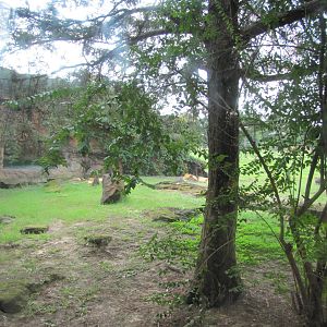 Caldwell Zoo 2010 - Left part of the African Lion exhibit