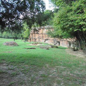 Caldwell Zoo 2010 - Right part of the African Lion exhibit