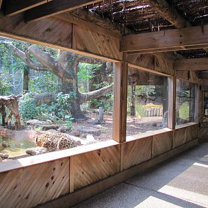 Caldwell Zoo 2010 - Front of the Amur Leopard exhibit in the Africa section