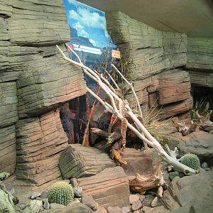 Caldwell Zoo 2010 - One of the native reptile exhibits