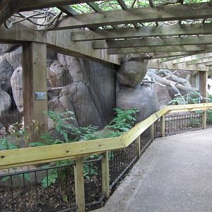 Caldwell Zoo 2010 - Native carnivore exhibits in the North America section