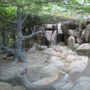 Caldwell Zoo 2010 - Right side of the Cougar exhibit