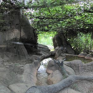 Caldwell Zoo 2010 - Left side of the Cougar exhibit