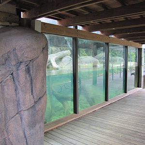 Caldwell Zoo 2010 - Front of the North American River Otter exhibit