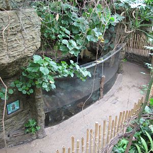Dallas World Aquarium 2010 - Front of the Giant Otter exhibit from the high