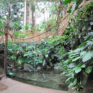 Dallas World Aquarium 2010 - Front of the Orinoco Crocodile exhibit