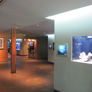 Dallas World Aquarium 2010 - General view on the Aquarium level