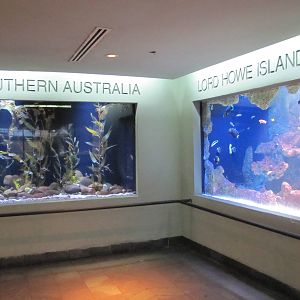 Dallas World Aquarium 2010 - General view on the Aquarium level