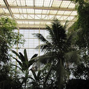 Dallas World Aquarium 2010 - View towards the ceiling