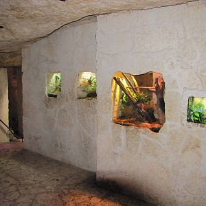 Dallas World Aquarium 2010 - Exhibits on the Mundo Maya level