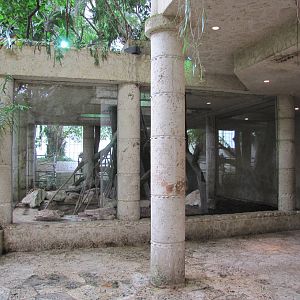 Dallas World Aquarium 2010 - First side of the Jaguar/Ocelot exhibit