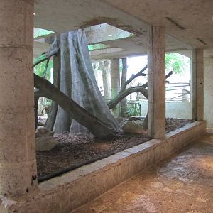 Dallas World Aquarium 2010 - Second side of the Jaguar/Ocelot exhibit
