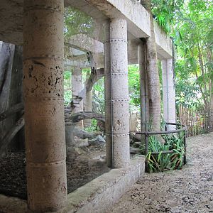 Dallas World Aquarium 2010 - Third side of the Jaguar/Ocelot exhibit