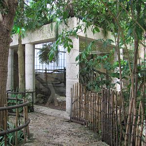 Dallas World Aquarium 2010 - View towards the Jaguar/Ocelot exhibit on the