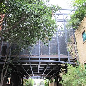 Dallas World Aquarium 2010 - Behind-the-scenes facility seen from the stree