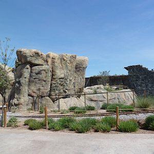 Lion Exhibit - New Exhibit In 2010