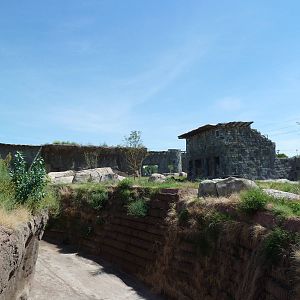 Lion Exhibit - New Exhibit In 2010
