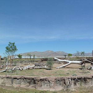 African Savanna - New Exhibit In 2010