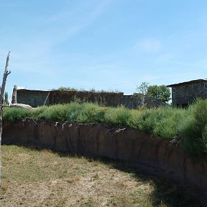 African Savanna Wall - New Exhibit In 2010